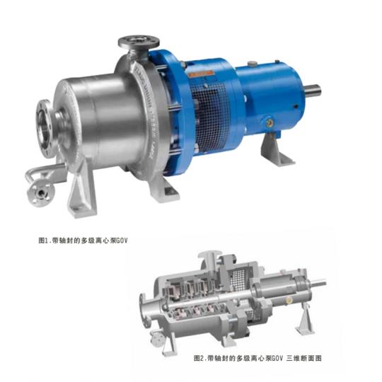 带轴封的多级离心泵GOV