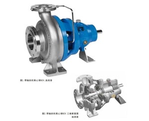 带轴封的离心泵NOV,油润滑